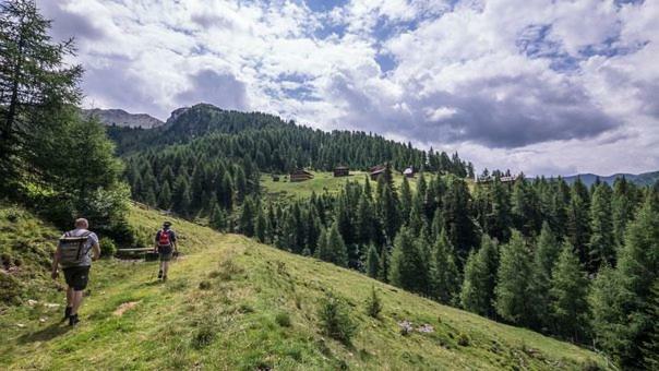 Appartementhaus Bad Salve ฮอพฟ์การ์เทน อิม บริกเซนทัล ภายนอก รูปภาพ