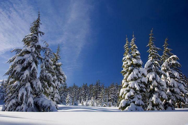 Appartementhaus Bad Salve ฮอพฟ์การ์เทน อิม บริกเซนทัล ภายนอก รูปภาพ